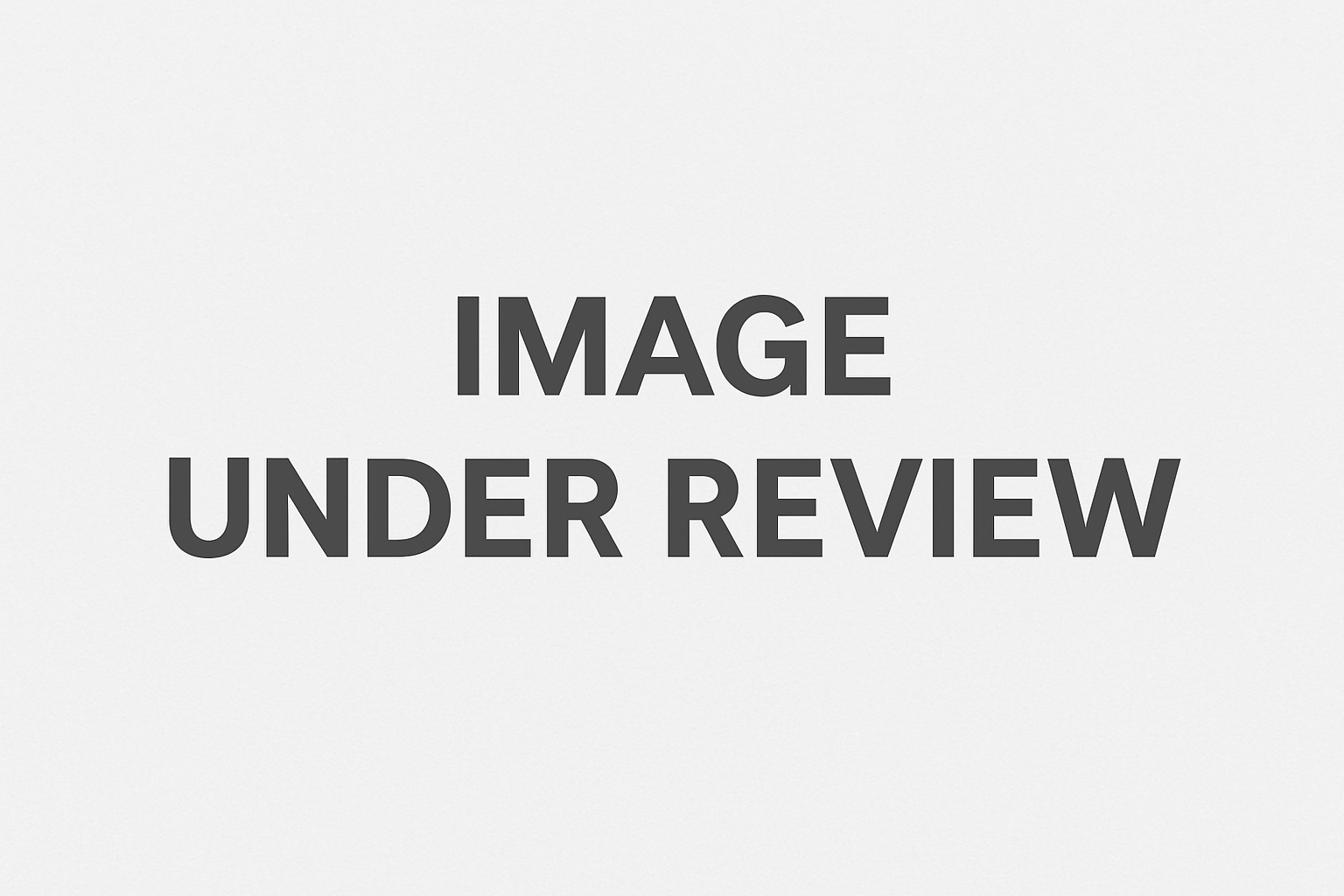 Bearded Collie Bearded Collie