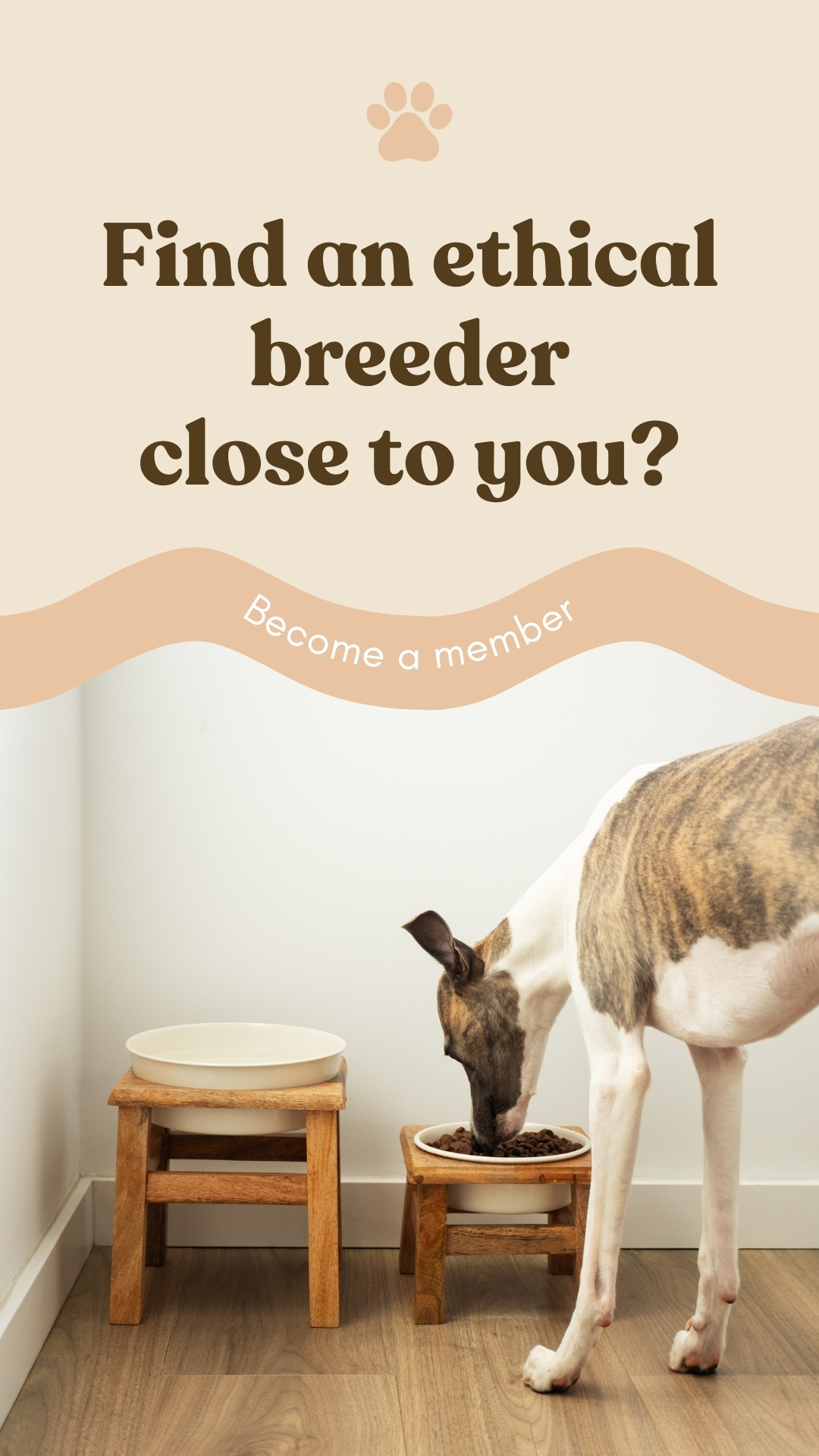 find local breeders