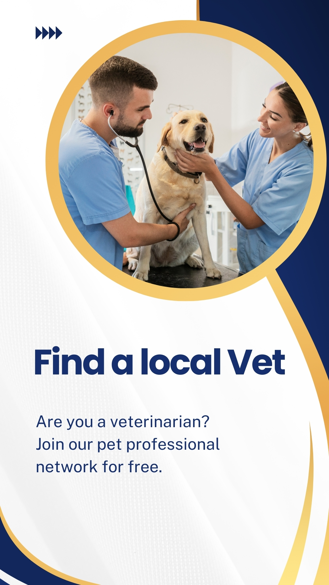 find local veterinarians