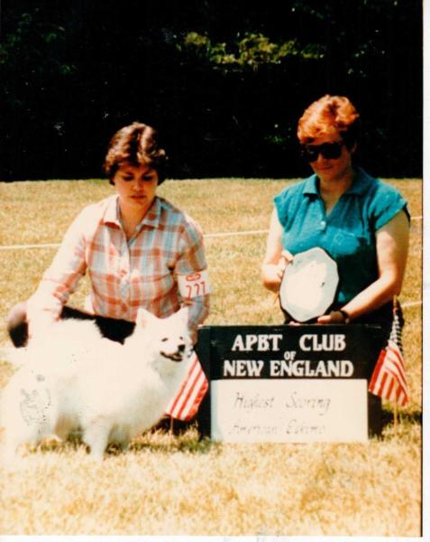 NORTHERN LIGHTS CALAH | American Eskimo Dog 