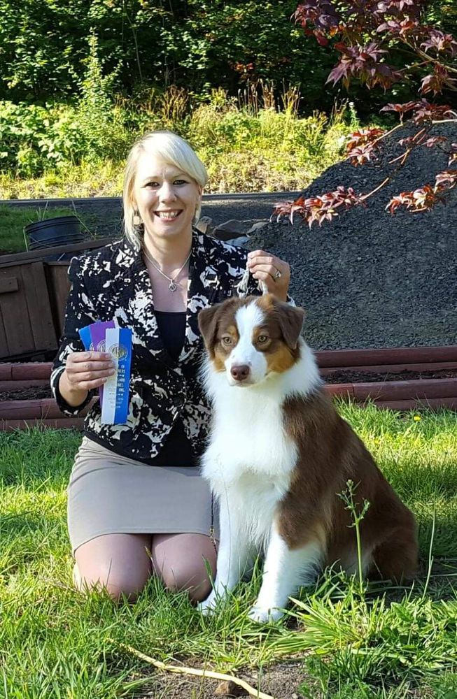 Silverwood's Red Velvet of Limelite | Australian Shepherd 