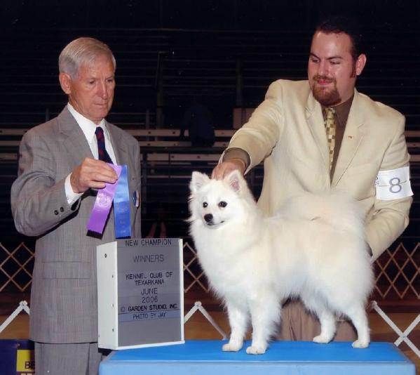 AM's Majestic Sunrise O' Cir-B | American Eskimo Dog 