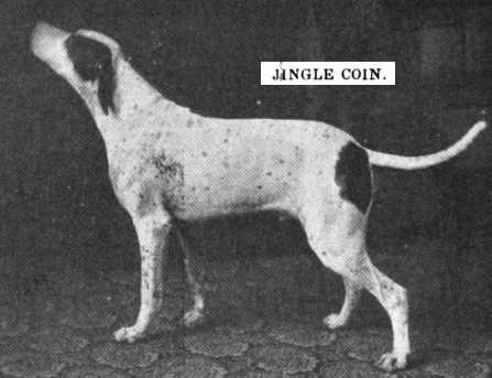 Jingle Coin (FDSB 004736) | Pointer 