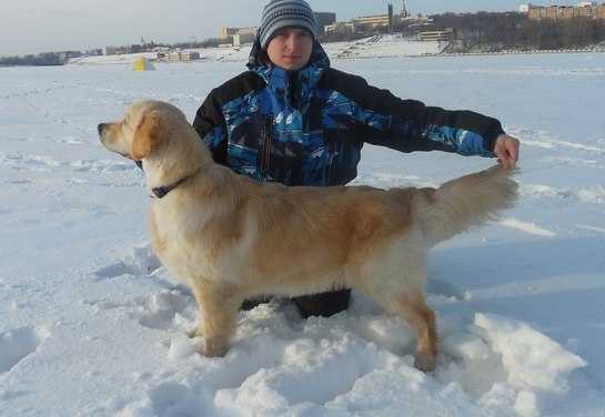 ORO MAGNIFICO MARTINIKA | Golden Retriever 