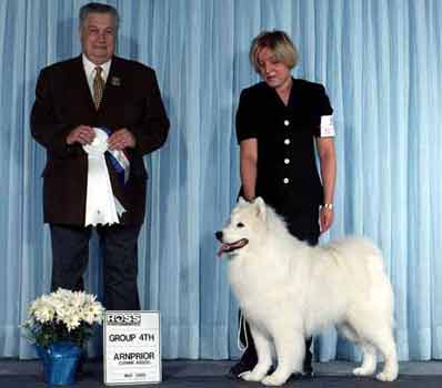 De Villaodon Polar Express | Samoyed 