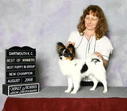 Mawenpaw's Index Page | Papillon 