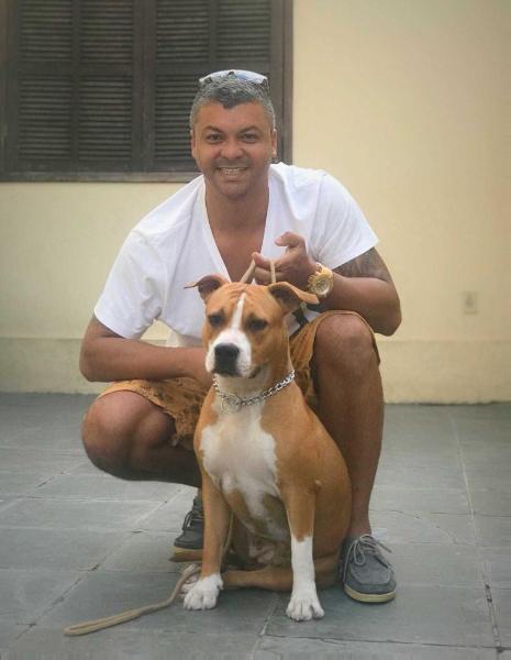 La Bomba (Lolla) from Kanekt | American Staffordshire Terrier 