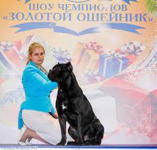 LORD DLYA DOMA ALVIK S ESENINSKOGO | Cane Corso 