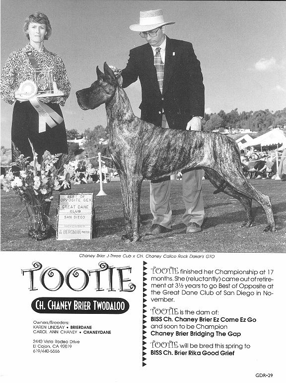 Chaney Brier Twodaloo | Great Dane 