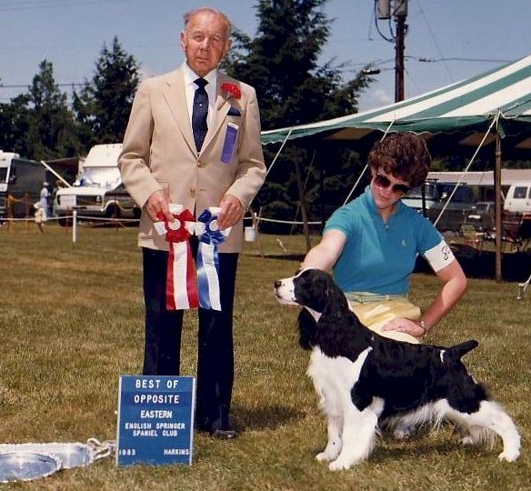 Salilyn's Welcome Design | English Springer Spaniel 