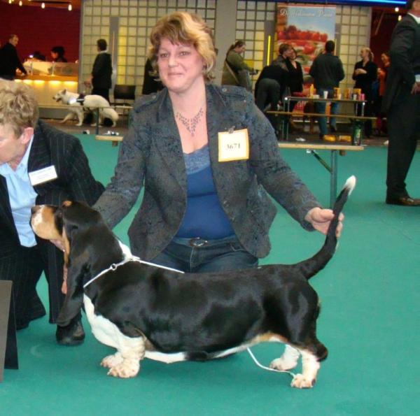 Eyecatcher Ebony van Grunsven | Basset Hound 