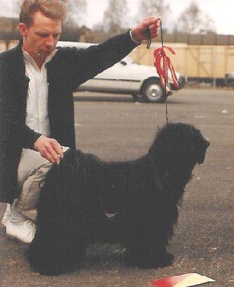 TINTAVON DARTH VADER | Tibetan Terrier 