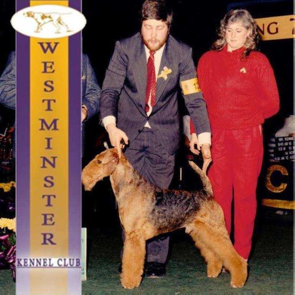 Harrington's Kantankres Kyna | Airedale Terrier 