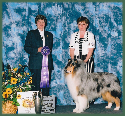 Westwood Th' Sky Chief | Rough Collie 