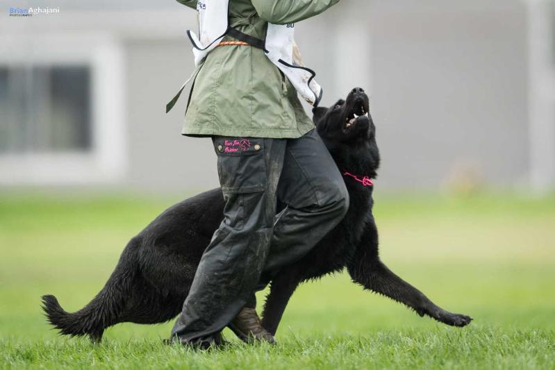 Mooshka von Linienbach | German Shepherd Dog 