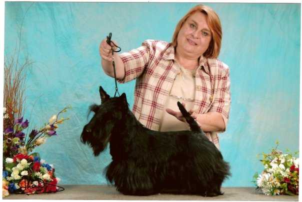 Gaterin Rhum attitude | Scottish Terrier 