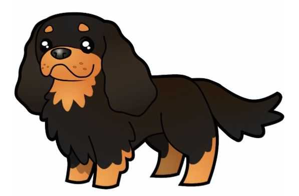 Ttiweh Black Prince O'Cockpen | Cavalier King Charles Spaniel 