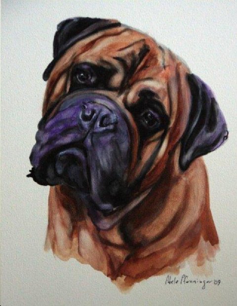 Tailwynde's Paine Webber | Bullmastiff 