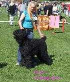 RUSLAN S ZOLOTOGO GRADA | Black Russian Terrier 