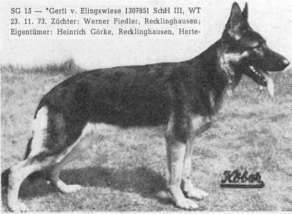 Gerti von Elingswiese | German Shepherd Dog 