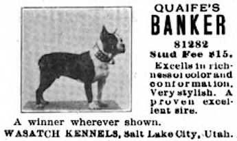 Quaife's Banker (081282) | Boston Terrier 