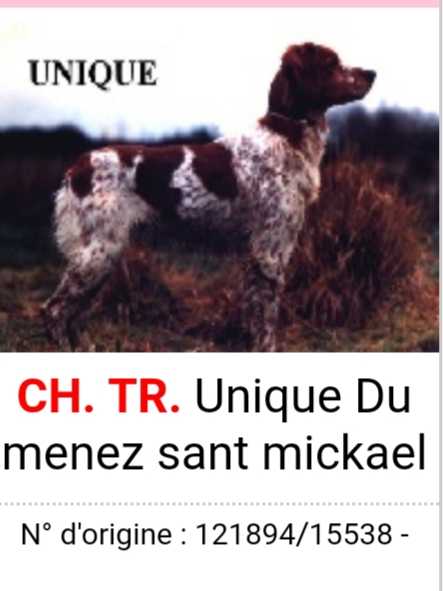 UNIQUE du menez sant mickael | Brittany 