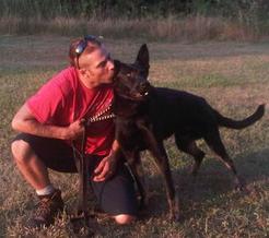 Titus von der Gauss | German Shepherd Dog 