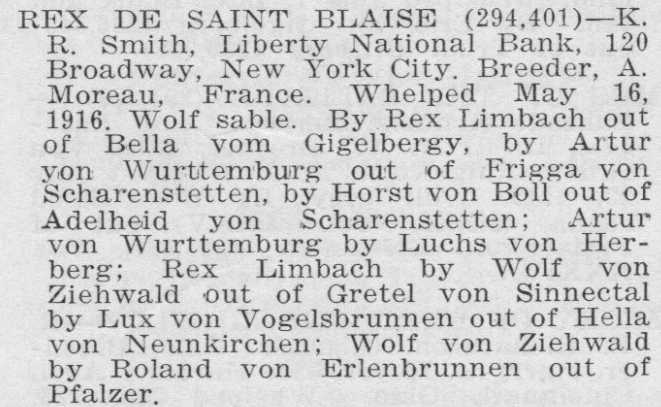 Rex de Saint Blaise | German Shepherd Dog 