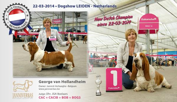 George van Hollandheim | Basset Hound 