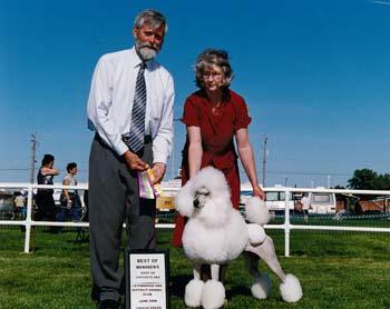 BLACKTIE MYSTIC KHALSA | Poodle 