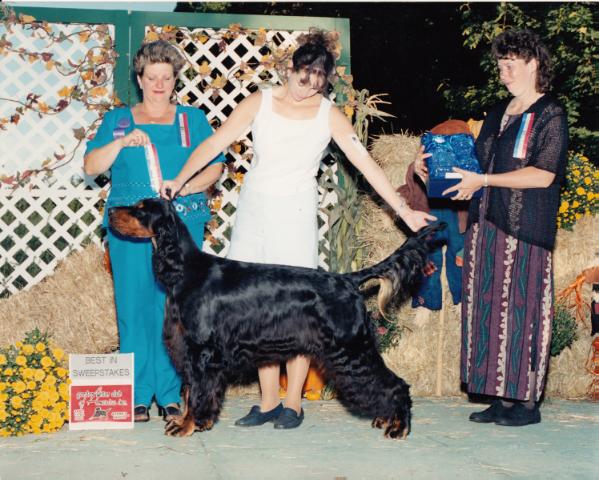 Kilernan's Sundance Kid | Gordon Setter 