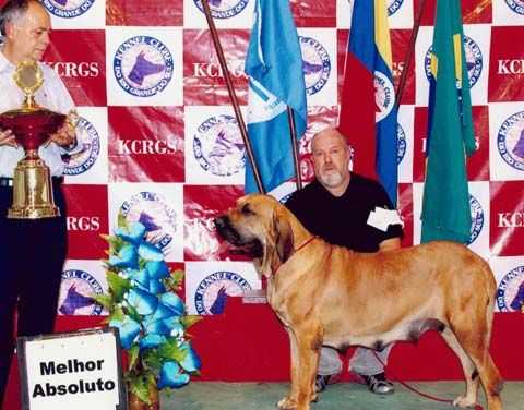 Iracema BL de Piedras de Afilar | Fila Brasileiro 