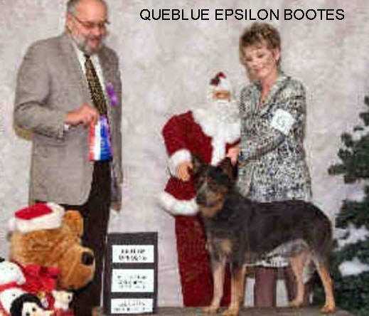 QUEBLUE EPSILON BOOTES | Australian Cattle Dog 