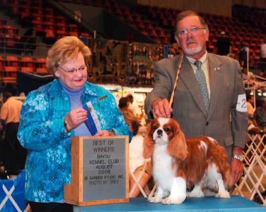 Pascavale Jamie | Cavalier King Charles Spaniel 