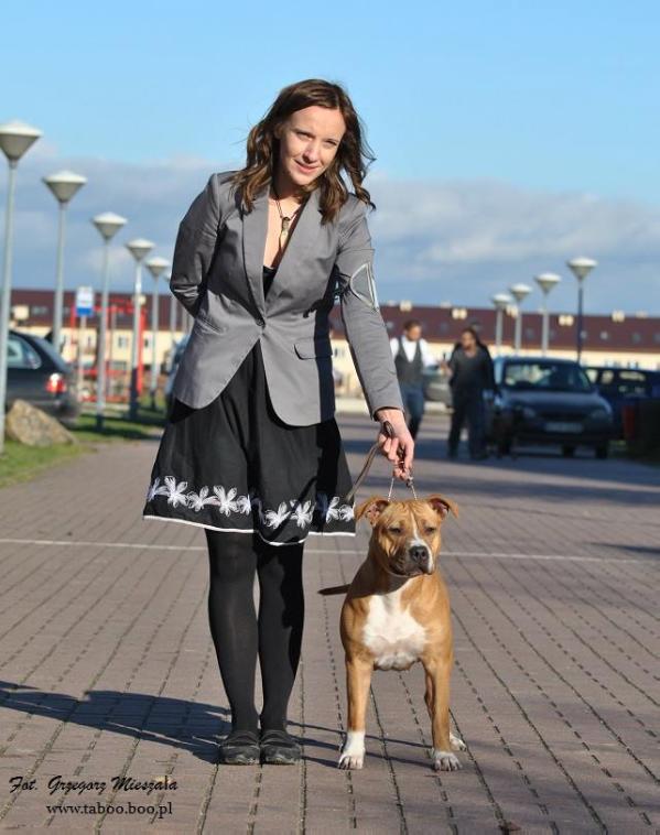 FOR ME FOREVER Taboo | American Staffordshire Terrier 