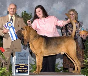 Sherick's Dakota Wild Pitch | Bloodhound 