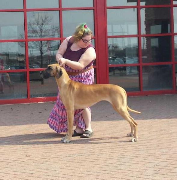 Witamy's Goddess of Dreams | Great Dane 