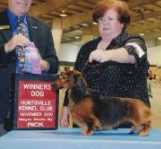 Teckelwood Jacks Card Shark ML | Dachshund 