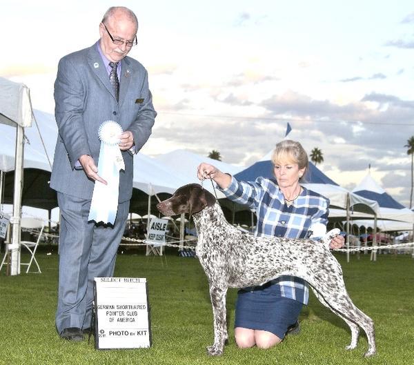 Whisper Ridge AMR Love Story | German Shorthaired Pointer 