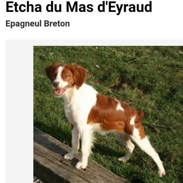 ETCHA du mas d'Eyraud | Brittany 