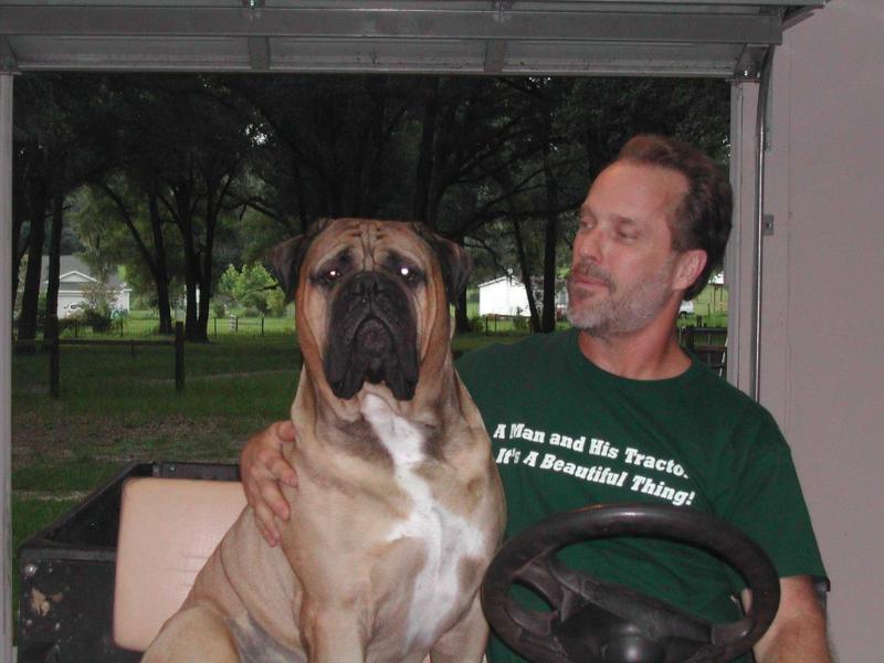 Gallant Oaks Bearer of the Cross | Bullmastiff 