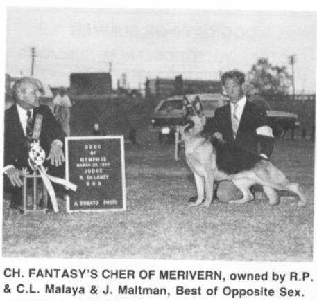 Fantasy's Cher Of Merivern | German Shepherd Dog 