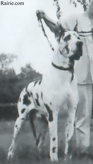 Jethro tull Von der burg diana | Great Dane 