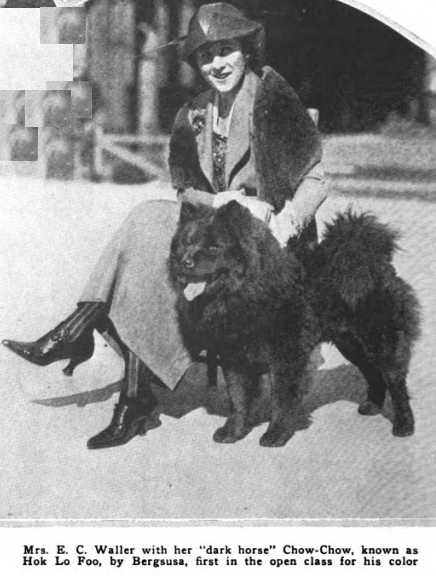Hok Lo Foo [Mrs. E.C. Waller's] | Chow Chow 