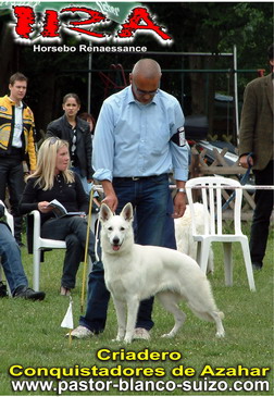 Horsebo Renaessance | White Swiss Shepherd Dog 