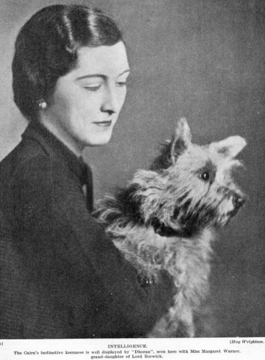 Dhoran [with Miss Margaret Warner] | Cairn Terrier 