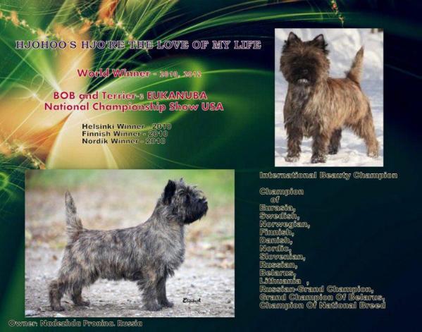 Hjohoo'S hjo'Re the love of my life | Cairn Terrier 
