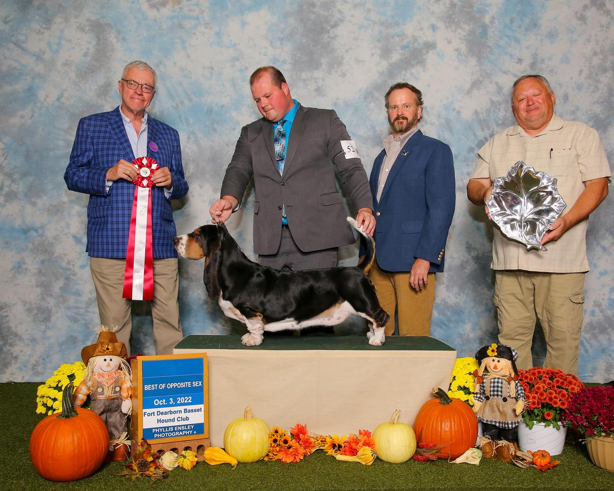 Lussy Grand Grades | Basset Hound 