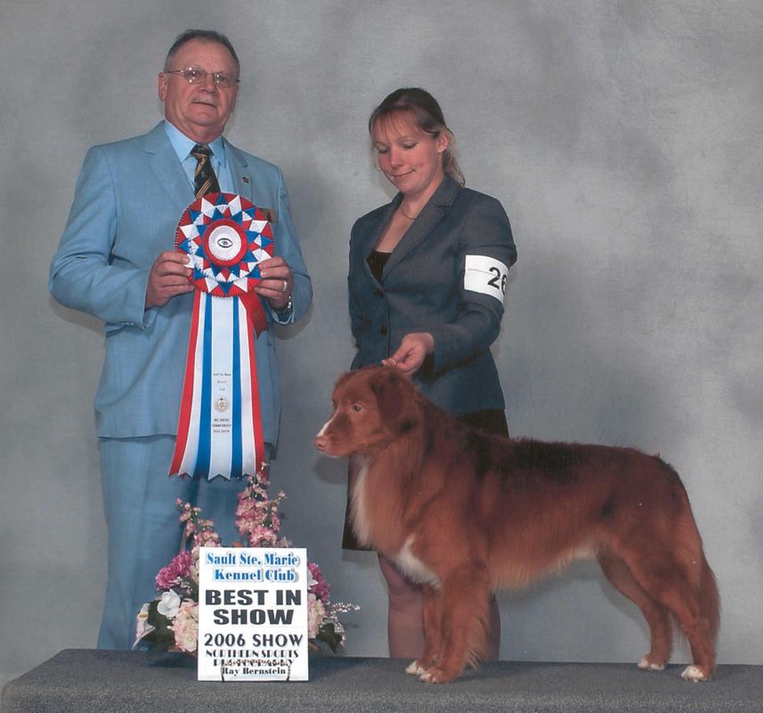 Kylador's Bustin Thru Th'Reeds | Nova Scotia Duck Tolling Retriever 