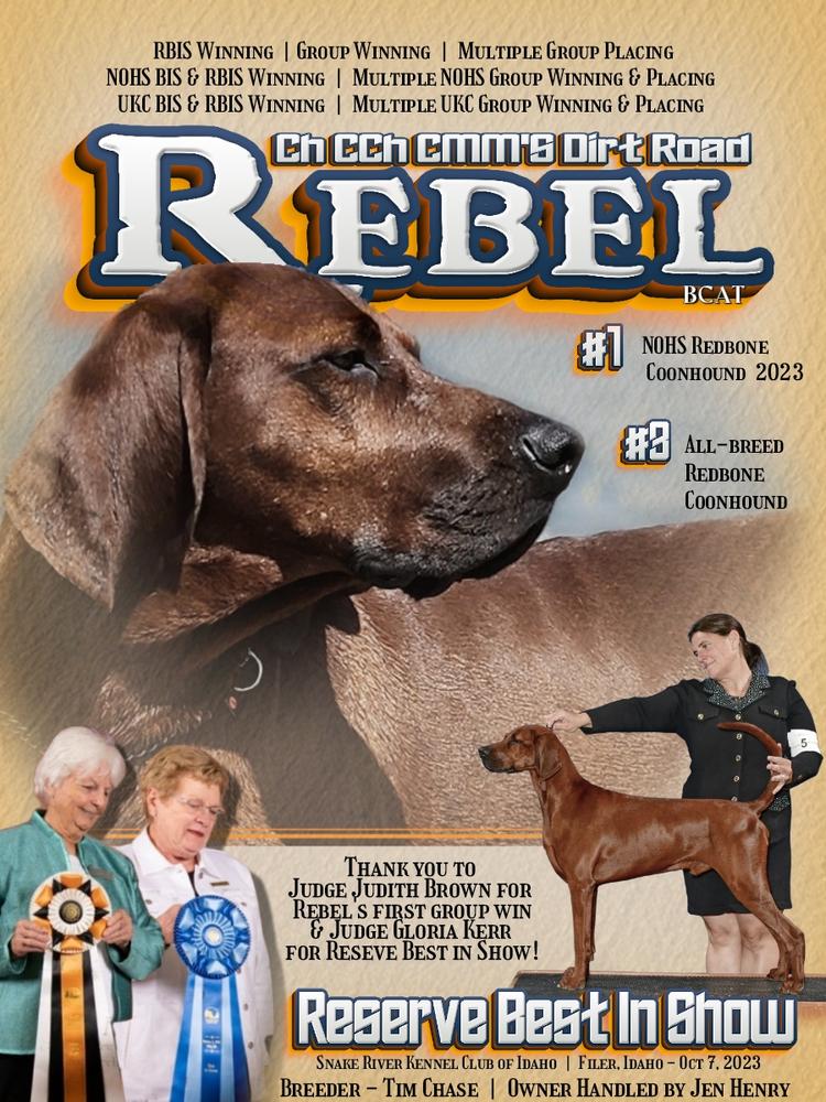 CMM's Dirt Road Rebel | Redbone Coonhound 